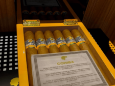 Thiết kế sang trọng